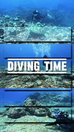 Diving Time