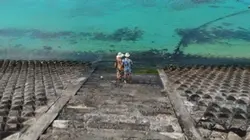 Bờ kè cây cô đơn PQ
