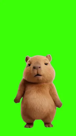 Capybara/Capivara.