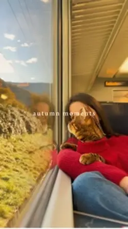 Autumn moments 