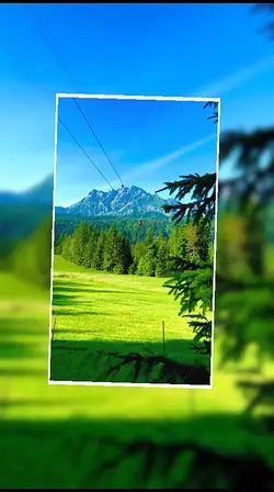 6 clipes templates