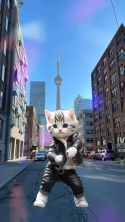 Cat dancing