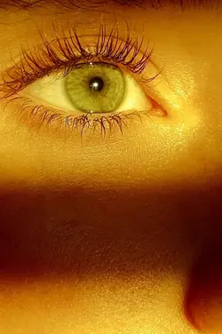 Eyes 
