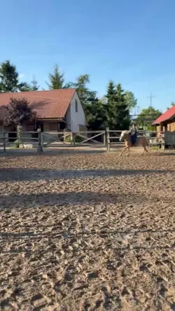 Slowmo
