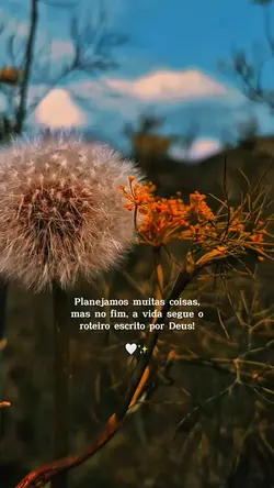 Motivacional do dia✨