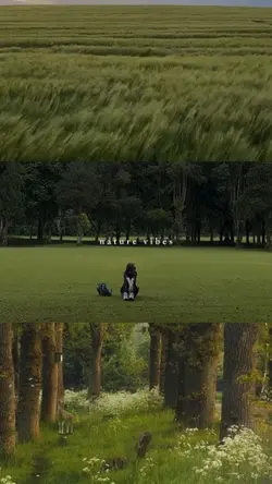 nature vibes