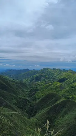 Nature's Masterpiece