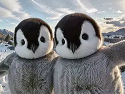 trend pinguin >>