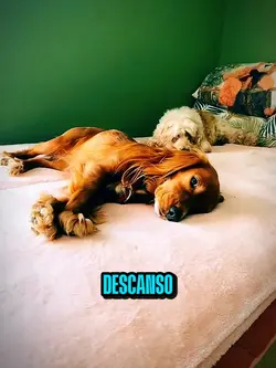 e assim eu descanso