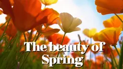 Spring
