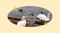 Day vlog yellow