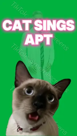 CAT SINGING APT