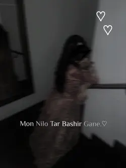 mon nilo tar bashir 