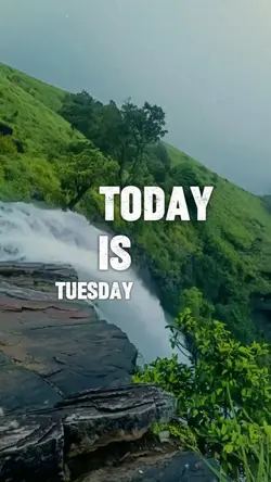 Tuesday Morning Meme: Boost Your Mood with Fun Memes