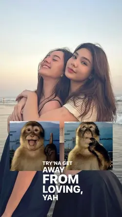 monkey