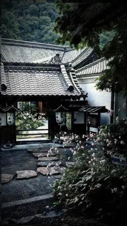 pic 3 ảnh 