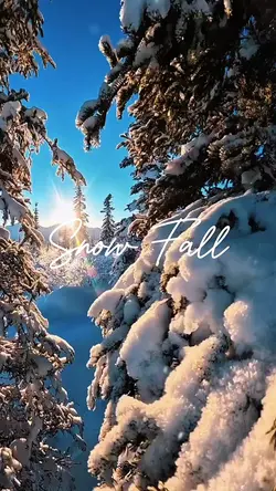 Snow Fall