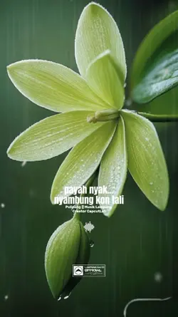 Pulipang