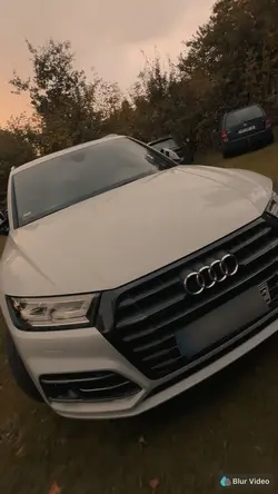 Audi 19 Clips