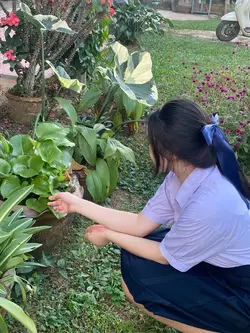 จะปิดซ่อนอีกนานแค่ไห