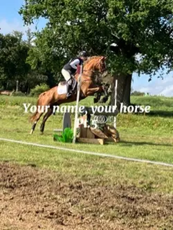 Your name,your horse