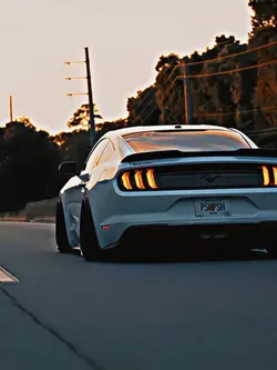 Mustangs