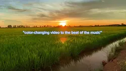 Video Changing Color