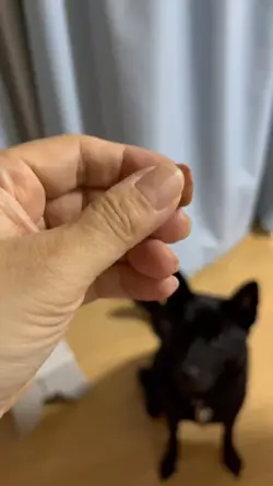 毎月恒例のアレ