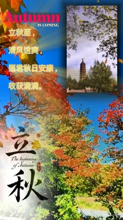 立秋Autumn begins 