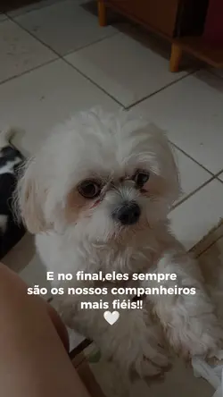 DEDICATÓRIA