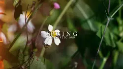 spring cinematic
