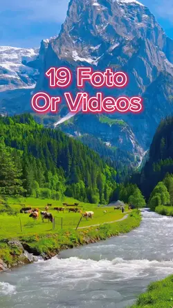 19 Foto Slides
