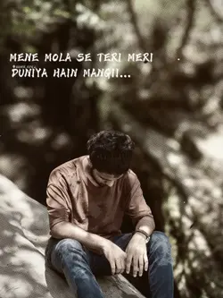Teri Meri Duniya 