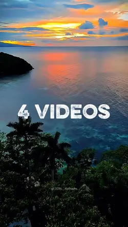 4 Videos