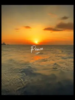 P E A C E 🥀