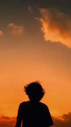 Daylight
