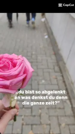 lügen über lügen