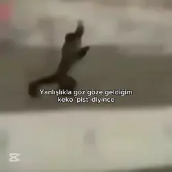 Koş duru koş 