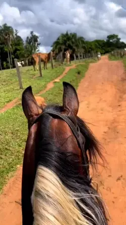 agro meu mundo.