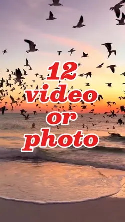 Mini Vlog