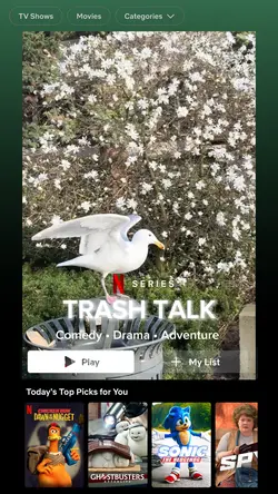 Netflix Cover 📽️