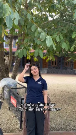 ฟีด
