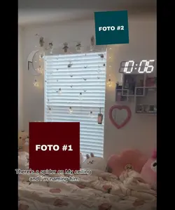 PRO EDIT MASTAR