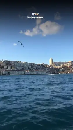 Sana İhtiyacım Var