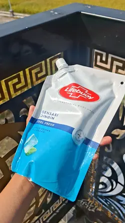 Sabun Lifebouy