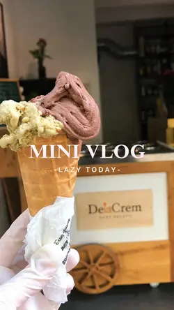 Mini Vlog
