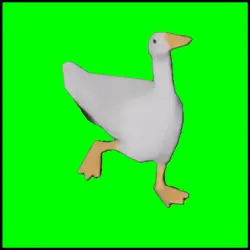 duck dancing