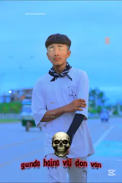 don van vai don