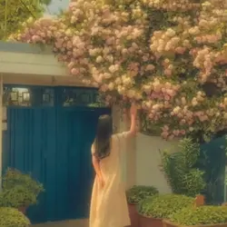 FILTER DREAMY