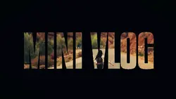 Mini Vlog 
